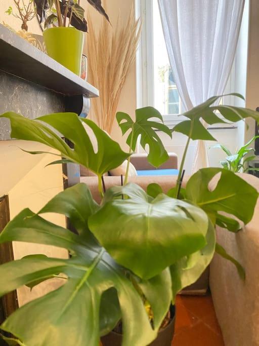 Le Jardin Secret De Nady Apartment การ์กาซอน ภายนอก รูปภาพ