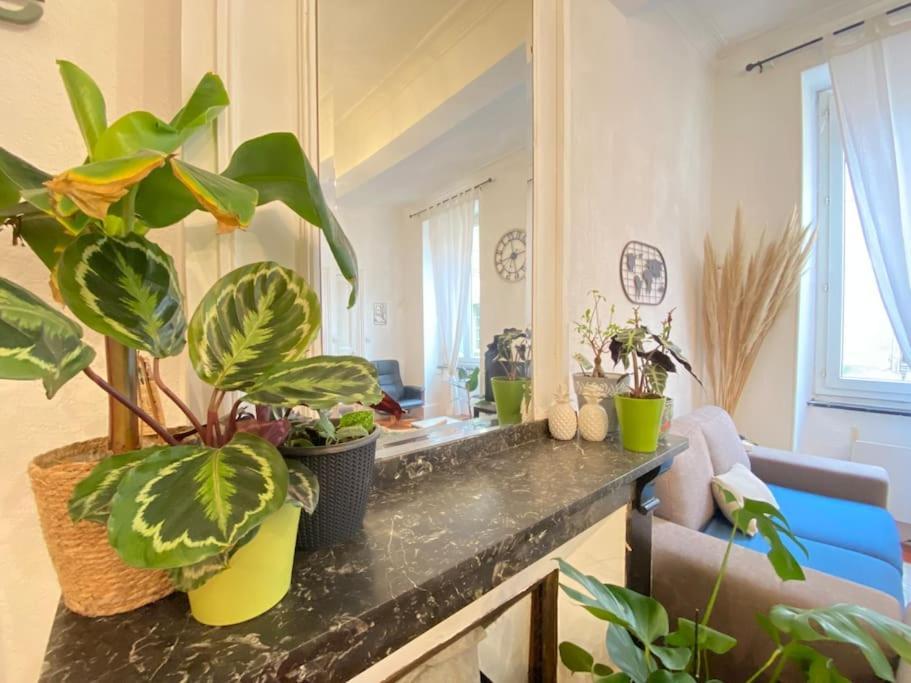 Le Jardin Secret De Nady Apartment การ์กาซอน ภายนอก รูปภาพ